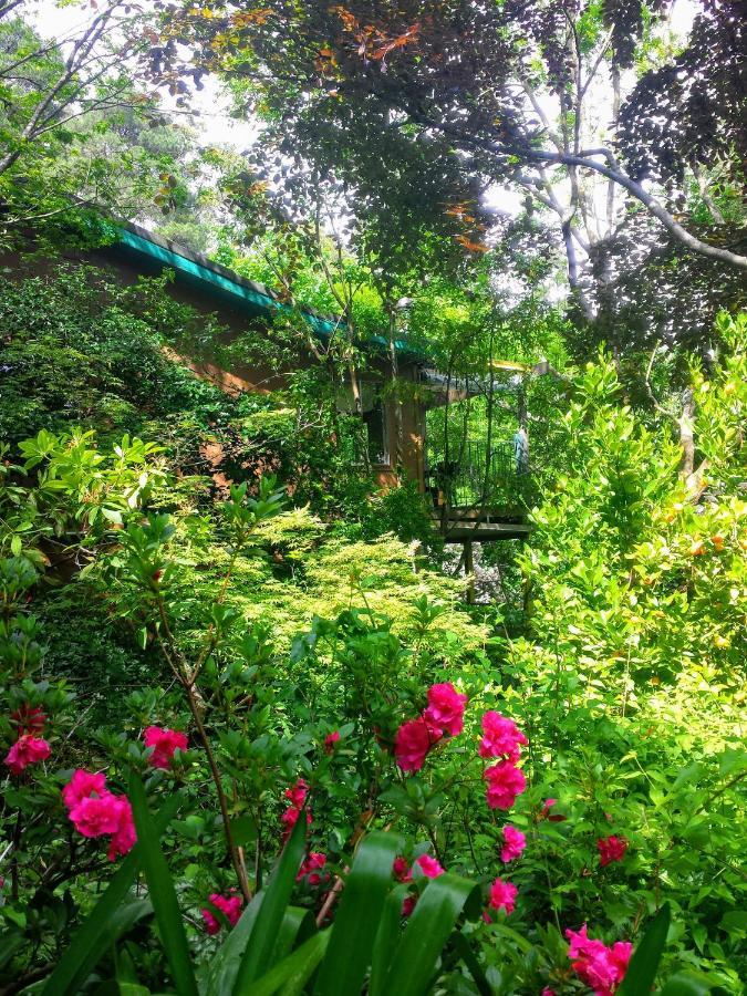 Koko Guesthouse - One Bedroom Option オリンダ エクステリア 写真